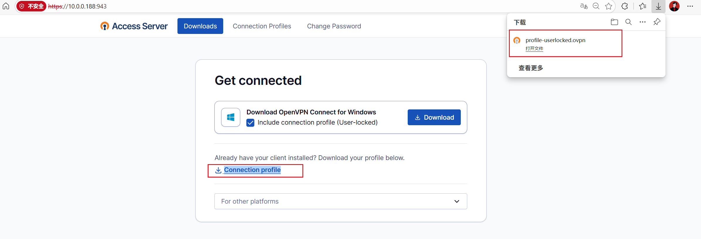 image-20251205141820383