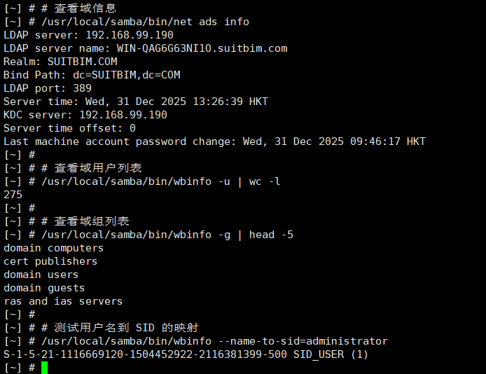 image-20251231132723809